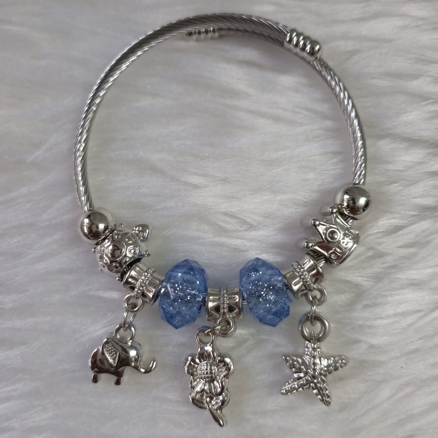 Pandora Charm bracelet