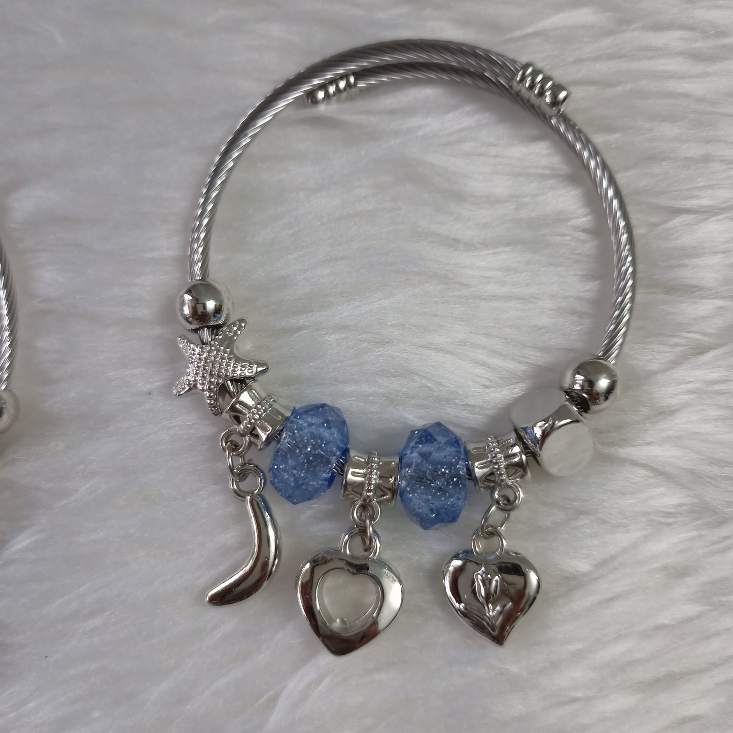 Pandora Charm bracelet