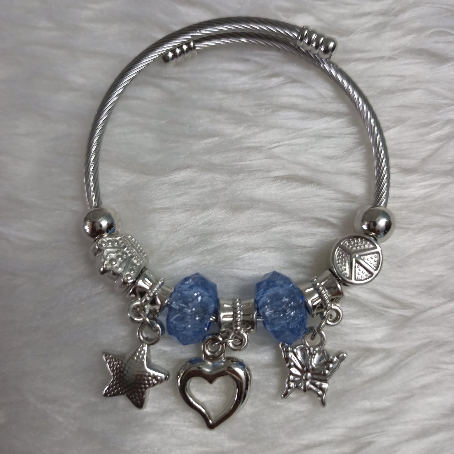 Pandora Charm bracelet