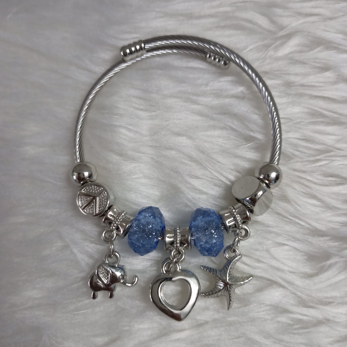 Pandora Charm bracelet