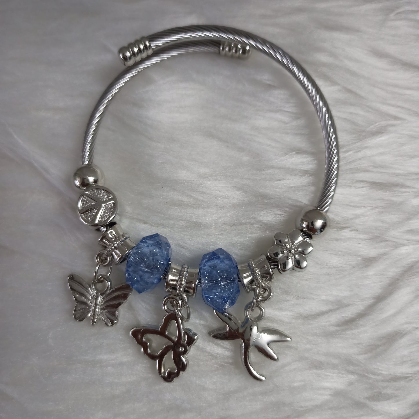 Pandora Charm bracelet