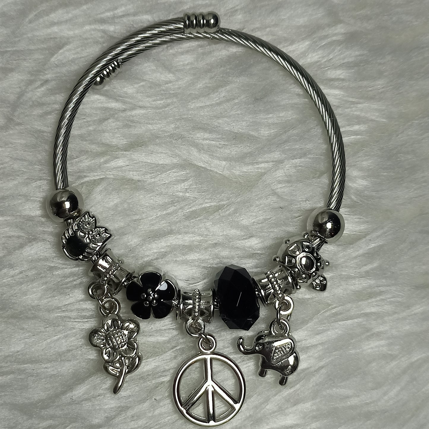 Pandora Charm bracelet